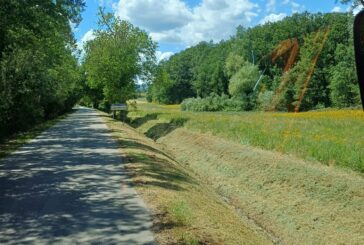 Intervento del Cb6 sul fosso Serpenna a Carpineto