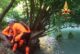 Parco dell’Elsa: 33enne si tuffa e non riemerge. Recuperato il corpo