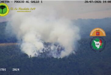 Spento l’incendio boschivo nella zona di Bagnaia