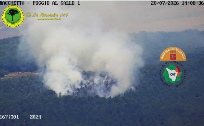 Incendio boschivo in atto nella zona di Bagnaia