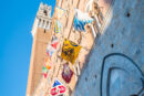 Estrazione delle Contrade per il Palio di Agosto (Fotogallery)