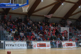 Calendario 26/27: Bulls al via in casa contro Ravenna