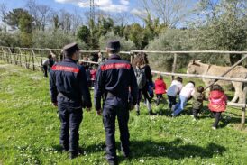 I Carabinieri Biodiversità di Siena dispensano semi di consapevolezza
