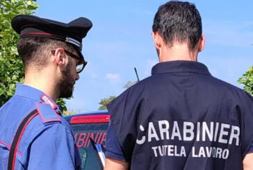 Contrasto al caporalato e violazioni della sicurezza: controlli fruttuosi dei Carabinieri