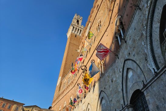 Per il Palio di agosto la sorte ha scelto Aquila, Onda e Giraffa