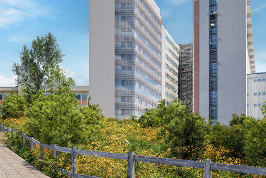 Masterplan AOUS: ok alla fattibilità per l’Edificio Laboratori e per la Torre antisismica