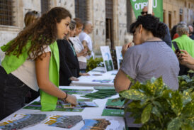 Sulle tracce di Francesco: torna la Giornata nazionale del trekking urbano