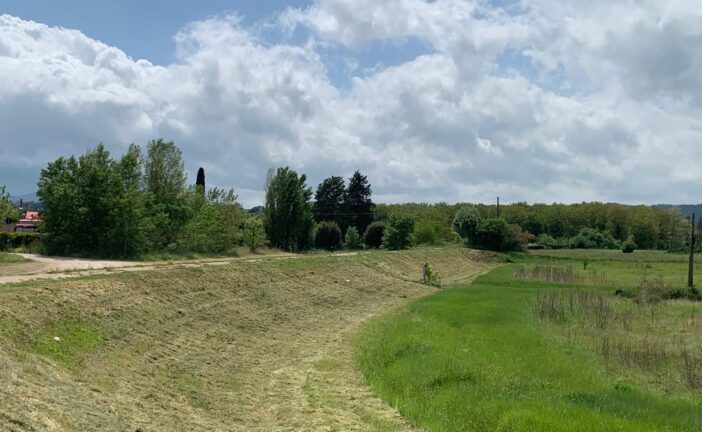 Lavori di decespugliazione lungo gli argini dell’Ombrone a Buonconvento