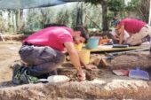 Acquaviva: ripresi gli scavi al sito archeologico di Fontegrande