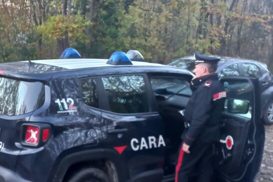 Trequanda: bivacco per lo spaccio smantellato dai Carabinieri