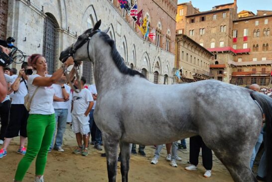 Palio: trentacinque i cavalli presentati alla Tratta