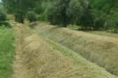 Intervento del CB6 sul borro La Copra nel comune di Asciano