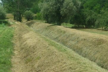Intervento del CB6 sul borro La Copra nel comune di Asciano