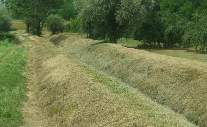 Intervento del CB6 sul borro La Copra nel comune di Asciano