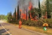 In contenimento l’incendio boschivo a San Donato in Poggio
