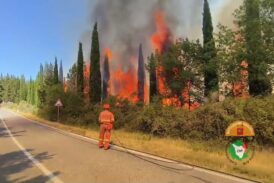 In contenimento l’incendio boschivo a San Donato in Poggio