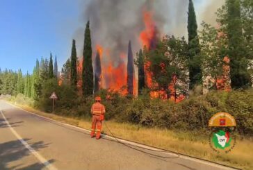 In contenimento l’incendio boschivo a San Donato in Poggio