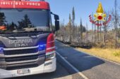 Barberino: incendio boschivo lungo la provinciale di CStellina