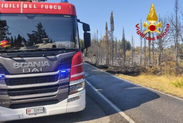 Barberino: incendio boschivo lungo la provinciale di CStellina
