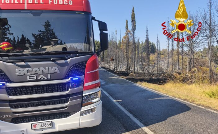Barberino: incendio boschivo lungo la provinciale di CStellina