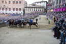 Palio, sanzioni amministrative per le invasioni di pista