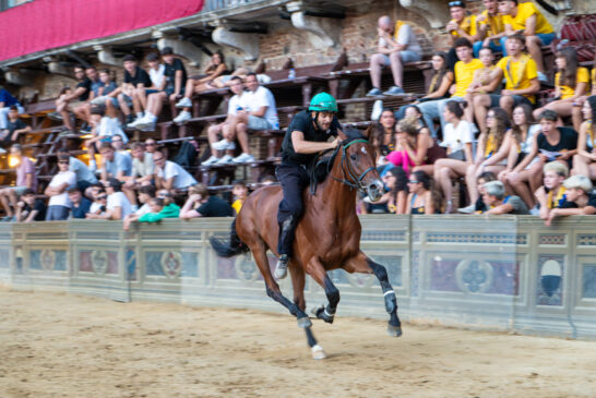 Palio: secondo giorno di prove regolamentate