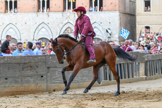 Palio: la quarta prova è della Torre