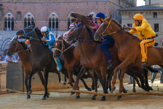 Palio: quarta prova (Fotogallery di Roberto Bassan)