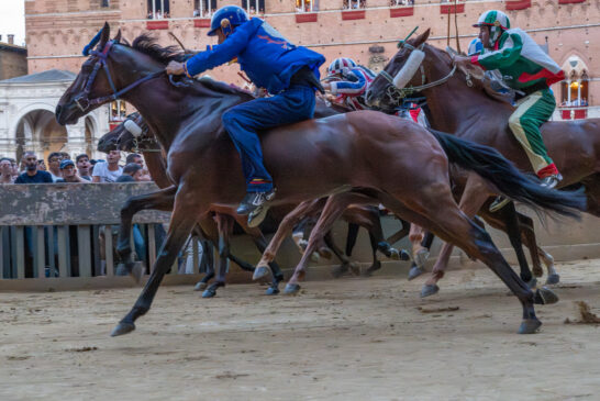 Palio: fotogallery di Roberto Bassan