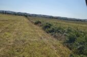 Il Consorzio di Bonifica 6 interviene sul fosso Bonifangole