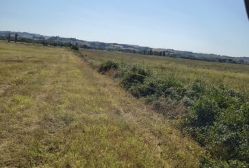 Il Consorzio di Bonifica 6 interviene sul fosso Bonifangole