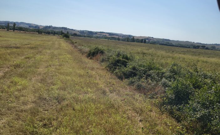 Il Consorzio di Bonifica 6 interviene sul fosso Bonifangole