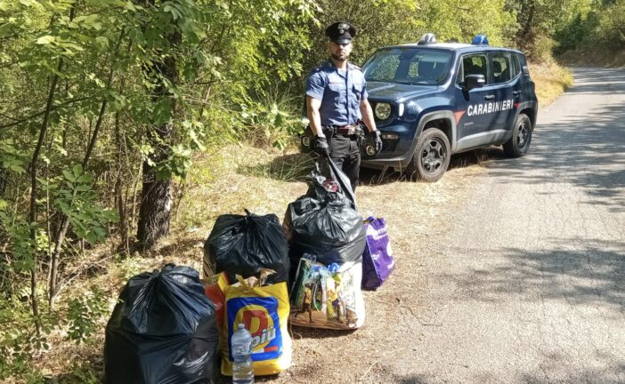 Smantellato un bivacco per lo spaccio nei boschi: intervento e bonifica dei Carabinieri di Vagliagli