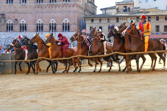 Palio: seconda prova (Fotogallery di Roberto Bassan)