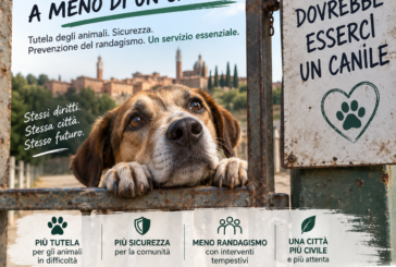“Cani vaganti: Siena non può fare a meno di un canile”