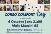 La PA Siena propone un corso per soccorritori e uno per “Confort dog”