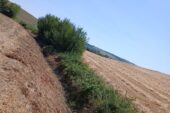 CB6 all’opera sul fosso dei Semiti a Torrenieri