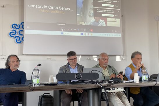 Cinta Senese DOP al Commissario Briganti: “PSA: la razza si può spostare, la DOP no”