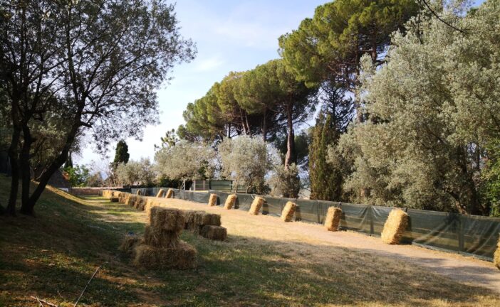 San Gimignano: storia, cultura e musica animano il weekend