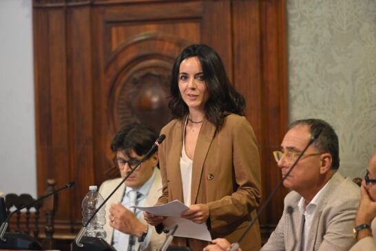 Consiglio monotematico su Mps: i vari interventi