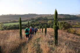 Torrita: dall’11 al 13 settembre “Le Giornate di Ghino di Tacco”