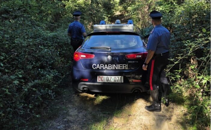 Spacciatore sorpreso nel bosco con la droga: arrestato dai Carabinieri