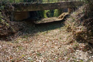 Cb6: intervento di manutenzione sul Querciola a Pianella