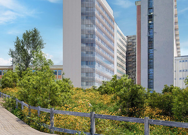 Aous: in affidamento la progettazione per i laboratori e la torre