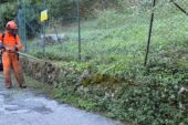 Manutenzione delle aree verdi dello stadio: Comune al lavoro