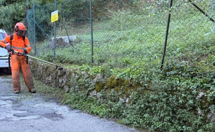 Manutenzione delle aree verdi dello stadio: Comune al lavoro