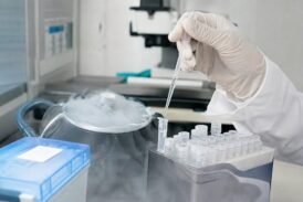 Social freezing: la Toscana approva la legge