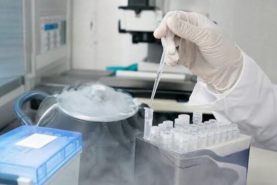 Social freezing: la Toscana approva la legge