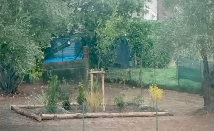 Alla Peruzzi di Sovicille nasce un bosco didattico