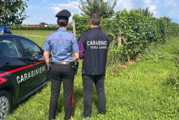 Contrasto al caporalato: 9 aziende controllate dai Carabinieri